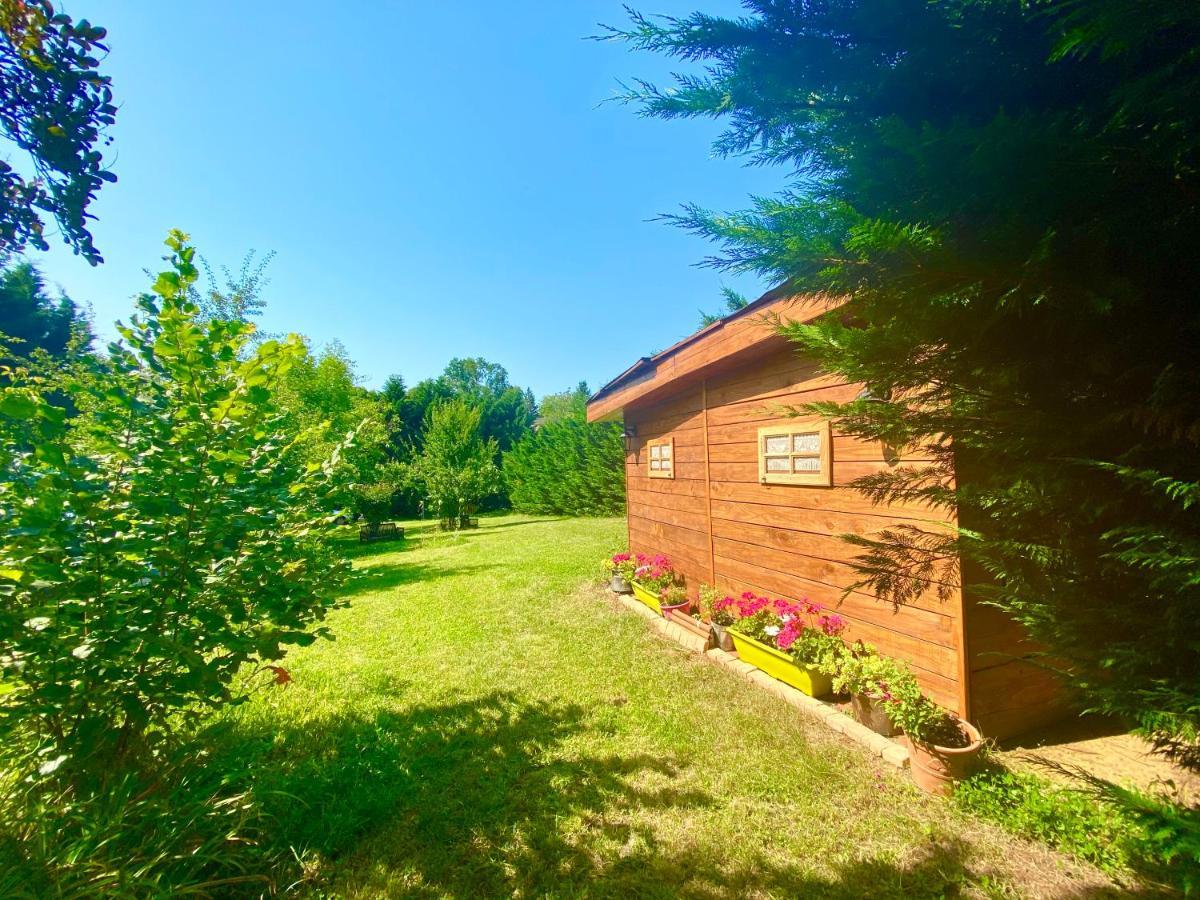 O Clair De Lune Au Coeur De Sarlat - Chambres Climatisees - Parking Prive - Piscine Chauffee - Spa Et Massages 外观 照片