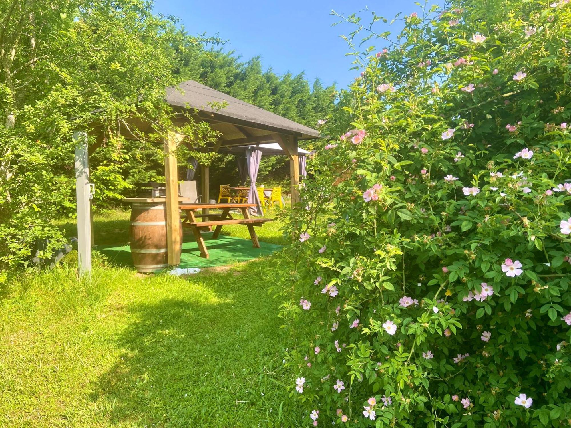 O Clair De Lune Au Coeur De Sarlat - Chambres Climatisees - Parking Prive - Piscine Chauffee - Spa Et Massages 外观 照片